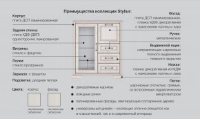 Прихожая модульная Стилиус в Камышлове - kamyshlov.magazinmebel.ru | фото - изображение 2