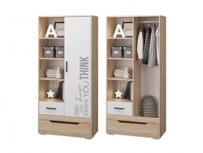 Шкаф для одежды с 2 ящиками в Камышлове - kamyshlov.magazinmebel.ru | фото