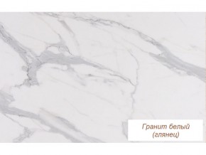 Столешница Гранит белый глянец 26 мм в Камышлове - kamyshlov.magazinmebel.ru | фото - изображение 1